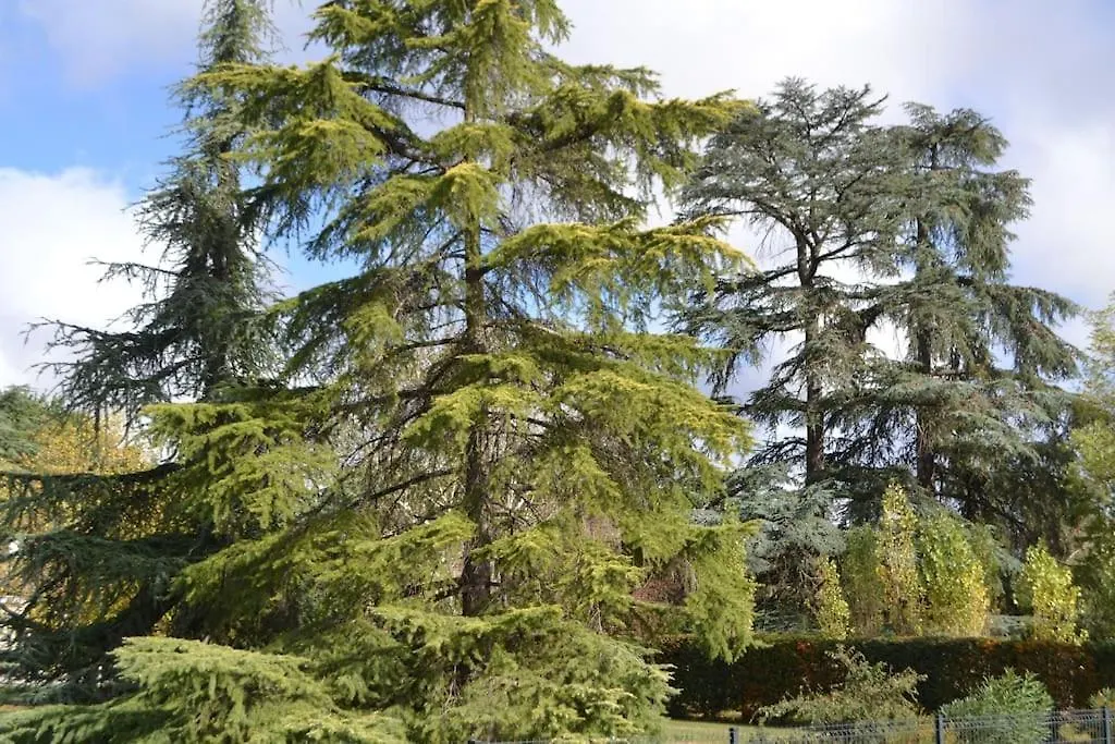 Maison Cosy Tout Confort Dans Un Cadre De Verdure Le Sequestre 0*,